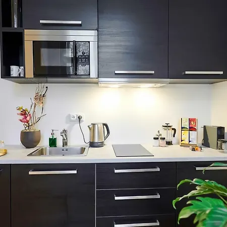 Stepanska Apartment *